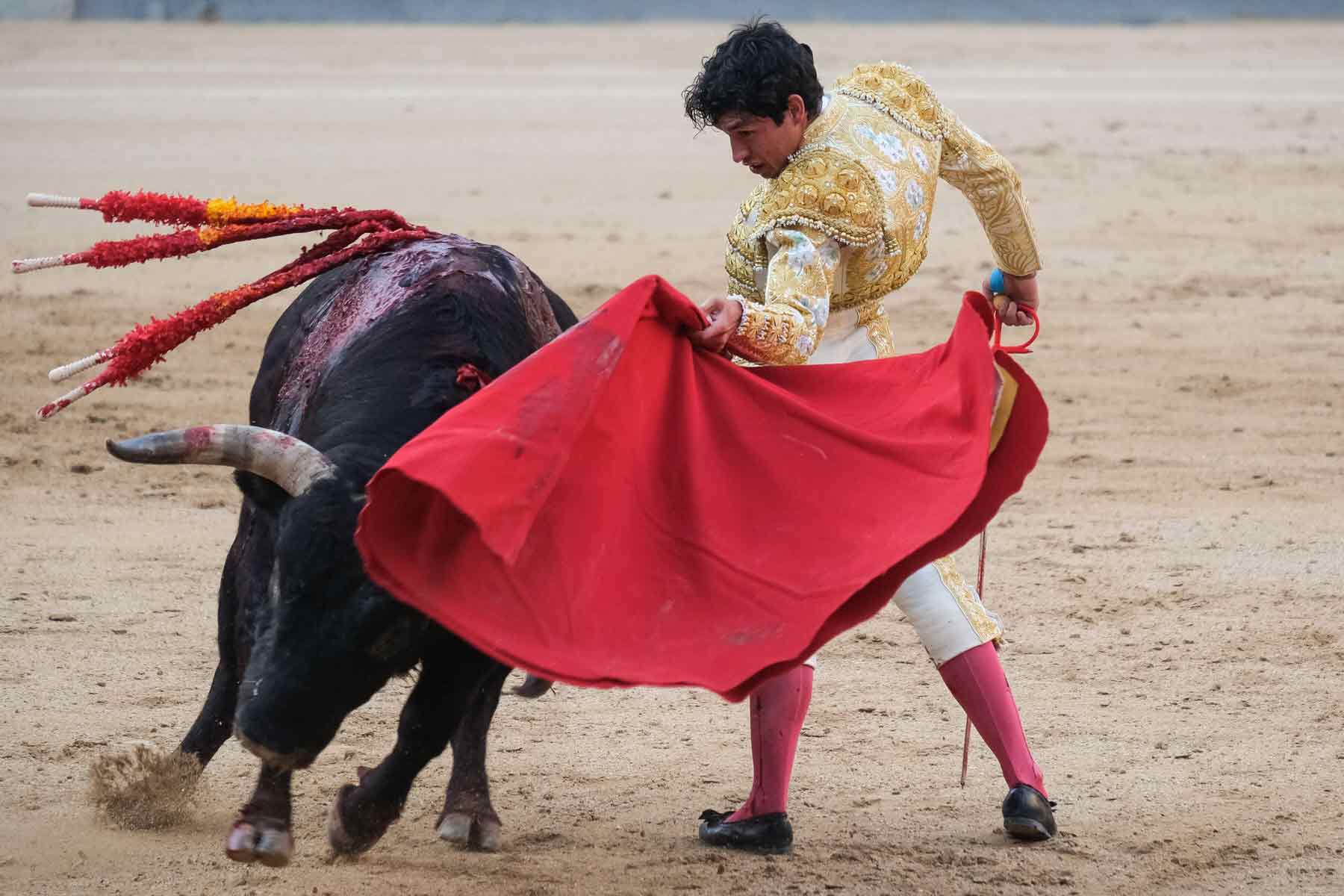 Bullfighter Isaac Fonseca during the bullfight of the feria de otono in the Plaza de las Ventas de Madrid in October 2023